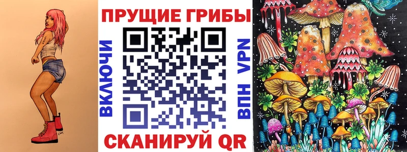 Псилоцибиновые грибы Psilocybe Лодейное Поле